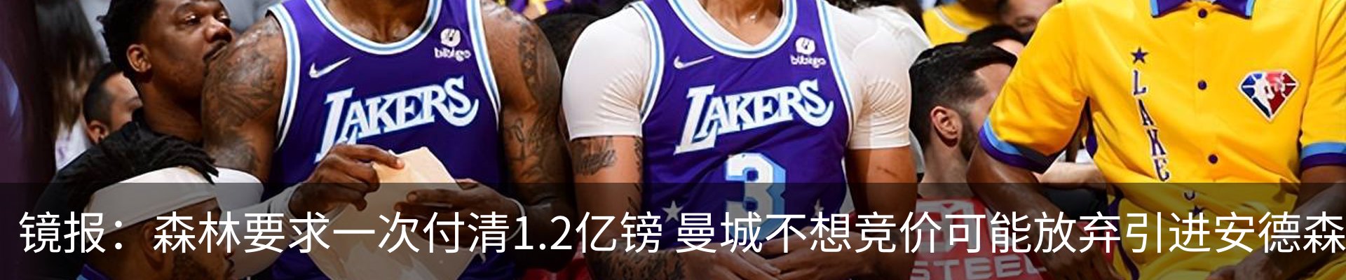 最新动态